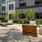 outdoor courtyard with trees and seating