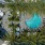 aerial view resort style pool with seating and a courtyard